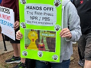 IMG_9242