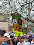 IMG_9346