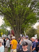 IMG_9743